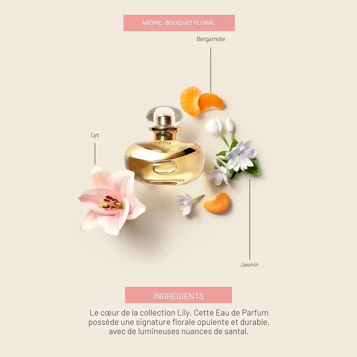 Flacon Lily Eau de Parfum O Boticário avec ses ingrédients : lys, jasmin et bergamote - Bouquet floral