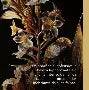 Privée Narcotic Flowers Tobacco - Détail