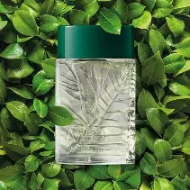 ARBO EAU DE TOILETTE 100ML